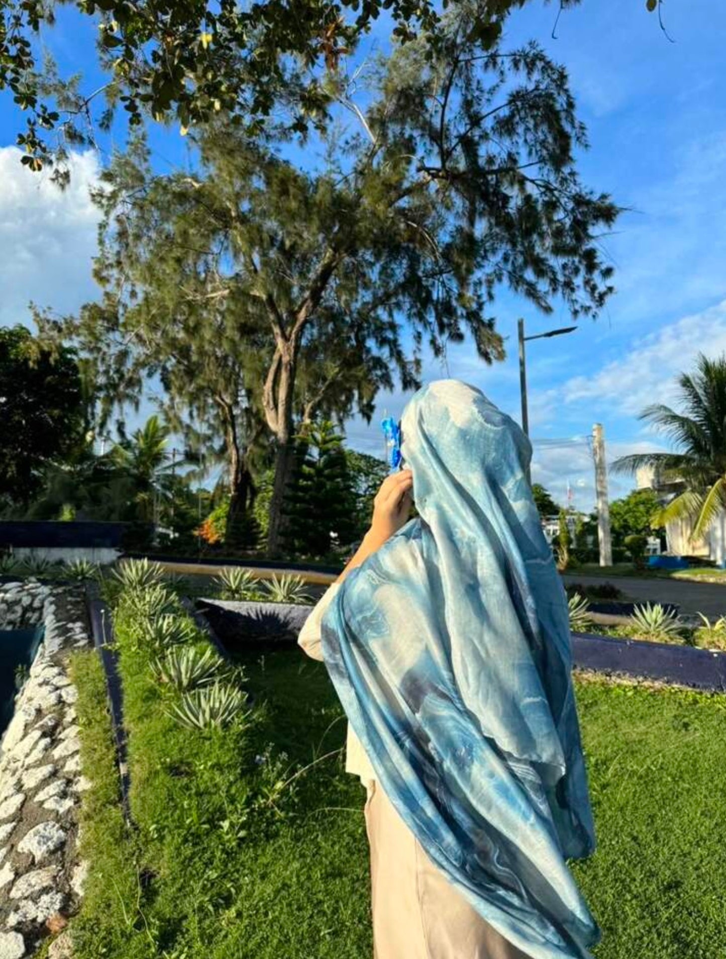Blue Marble Veil