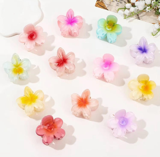 FREE SUMMER HAIR CLIP